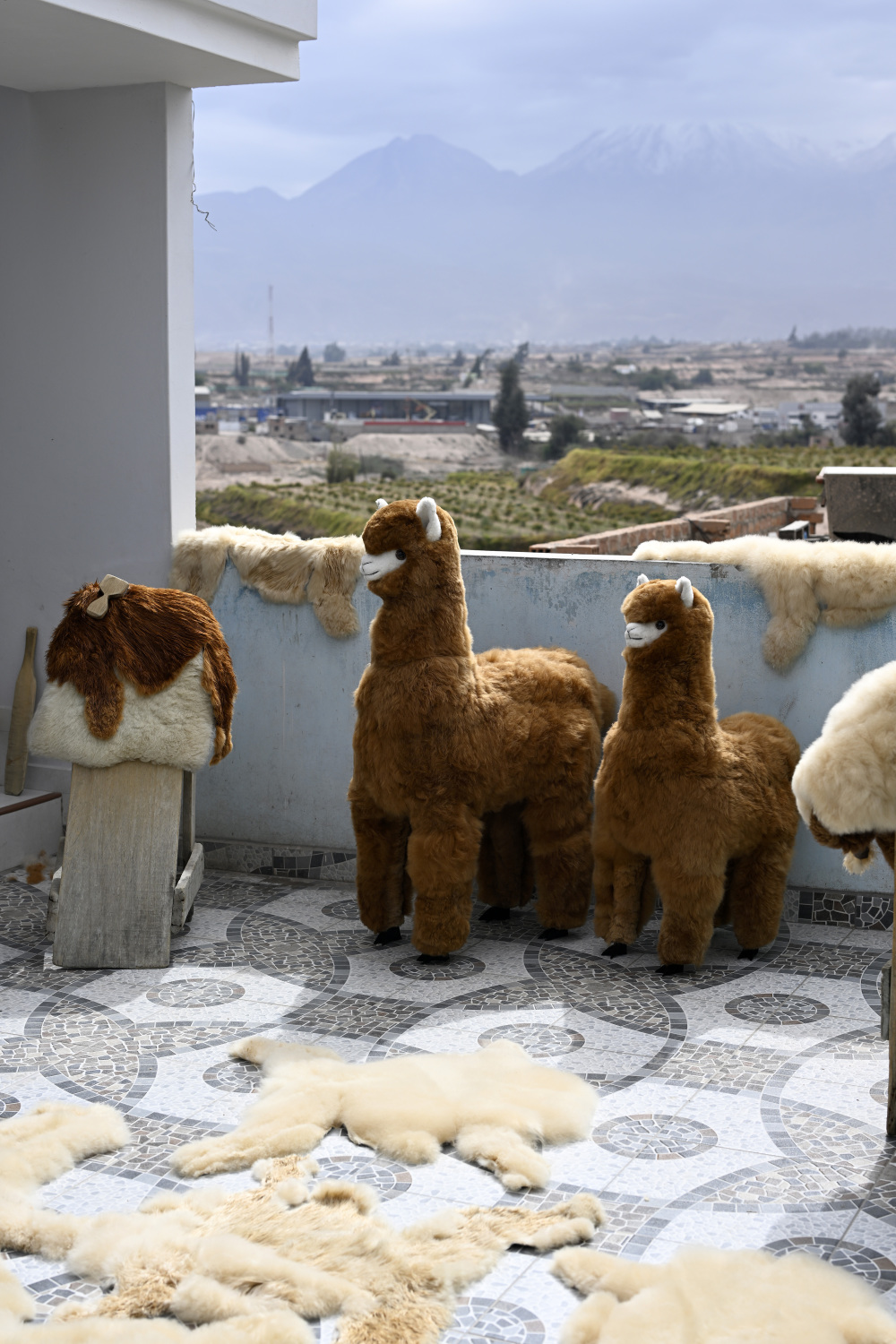 ac米兰-雷加尔马多夫拉主场大捷，士气高涨