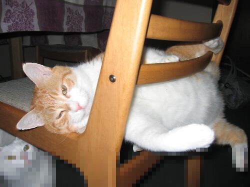 从巴黎到巴塞罗那，战术压制与个人英雄主义如何定义现代足球