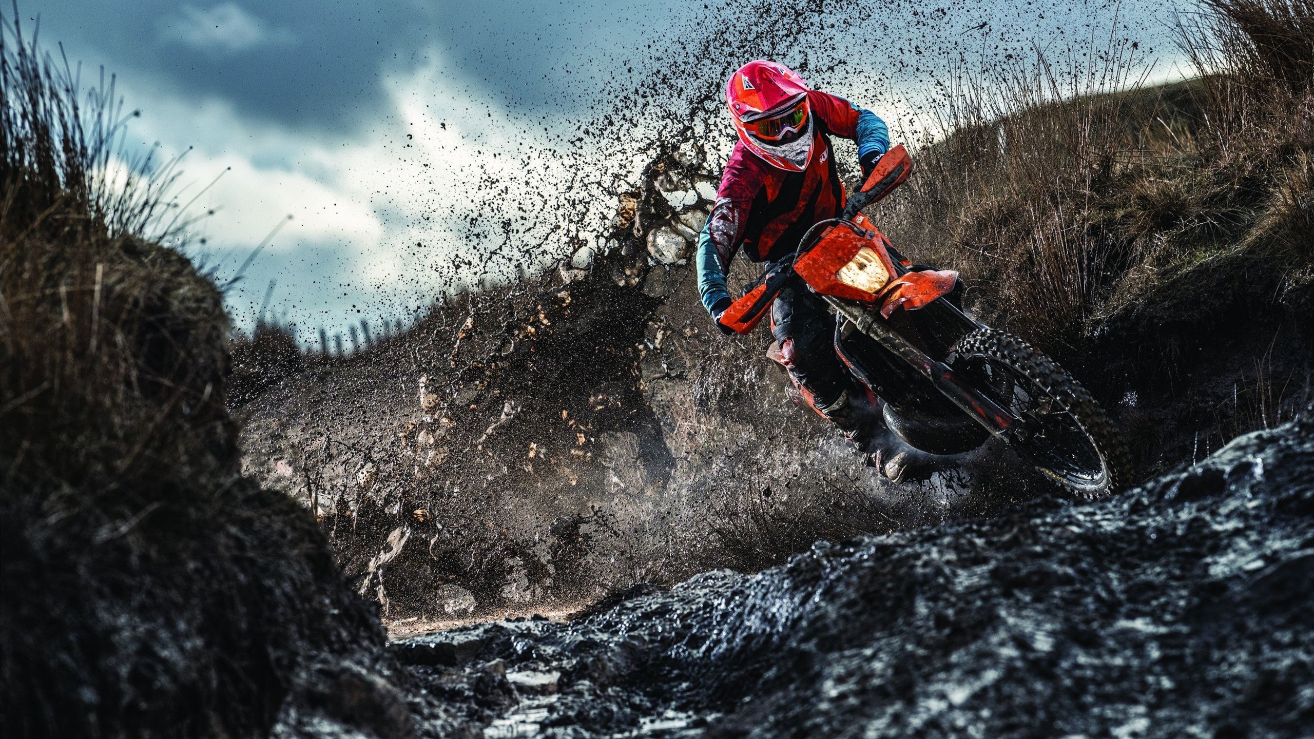 米兰百家乐-逆转之夜，奥恰洛夫独舞，德国战车碾过韩国铁壁